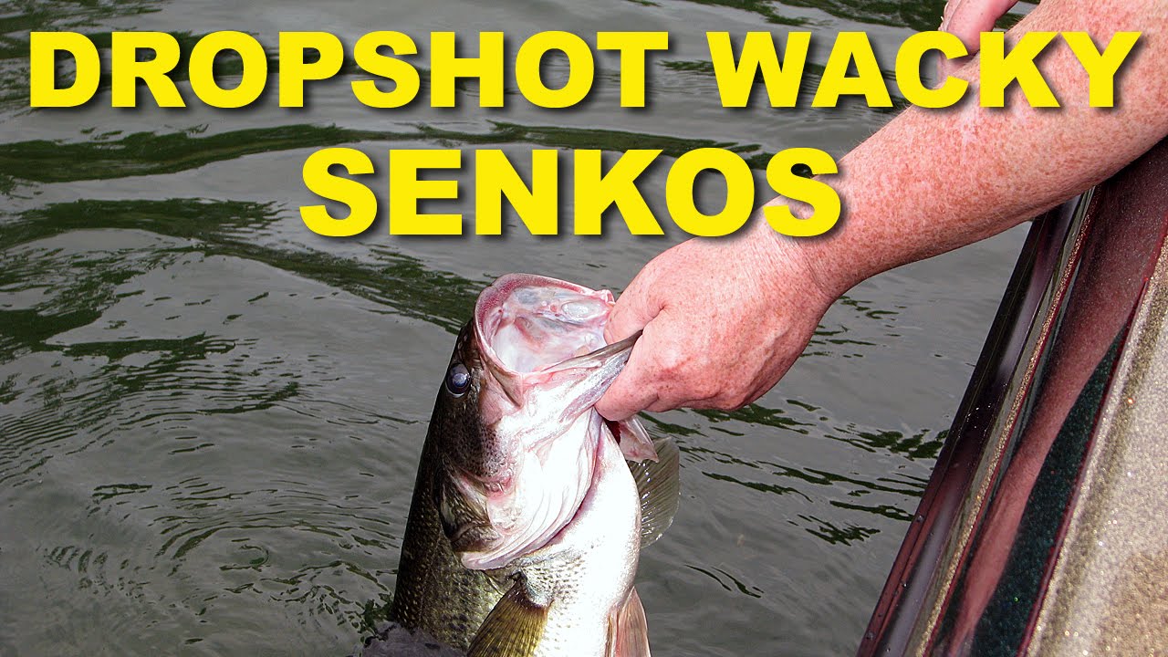 Wacky Rig: Dropshot Senko, How To Fish, Video
