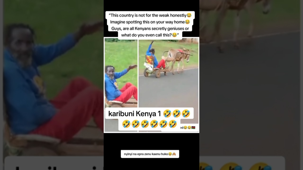 karibuni Kenya 1 🤣🤣🤣🤣🤣🤣🤣🤣🤣🤣🤣🤣🤣🤣