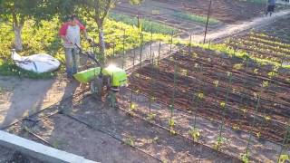 Grillo g107d freza