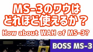 WAH、結構使えるやん。素敵やん。BOSS MS-3