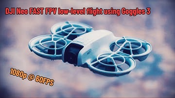 Low-Level FPV Drone Stunts | DJI Neo & Goggles 3 in Action!