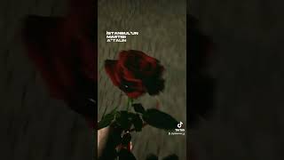 Okyanuslar Ortasında Güvenebileceğim Tek Atlasım Resimi