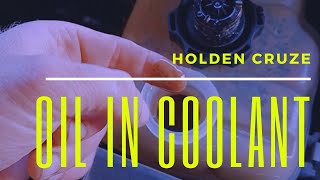 Holden cruise oil in coolant