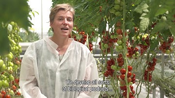 Certis Biorationals in How It