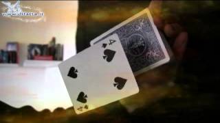 Hover Card - Floating Card Net Worth