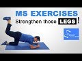 MS Exercises | Leg Exercises | Strengthen Legs With Multiple Sclerosis