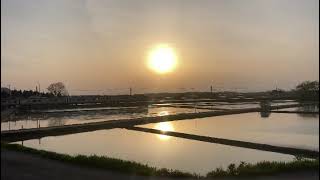 越後平野の夕陽の中を走り抜けるE129系 @越後赤塚