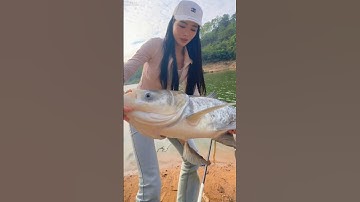 gái xinh bị anh chủ hồ coi thường là yếu không câu nổi cá hồ anh và cái kết  #fishing #cauca #short