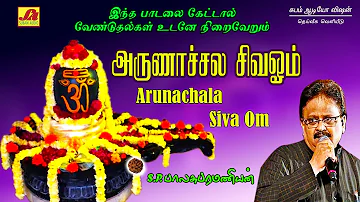 அருணாச்சலா சிவ ஓம் பாடல் | Arunachala siva songs | subamaudiovision #sivansongs #devotionalsong #spb