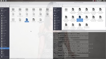 ArchLabs : 67 Archlabs Nemesis applied to Archlabs Yoda 2/2