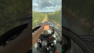 Día De Tratamiento Olivos