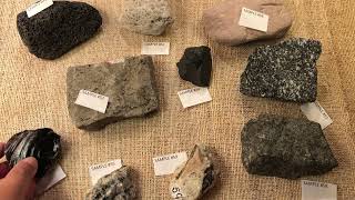 Lab trays: identify igneous rocks 3