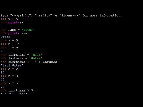 Python Tutorial 7 | Variables and Indexing