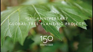 Planting the first tree of our Global Tree Planting Project #Newnham150