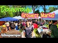 Opening of the downtown growers market  fun food music art and more