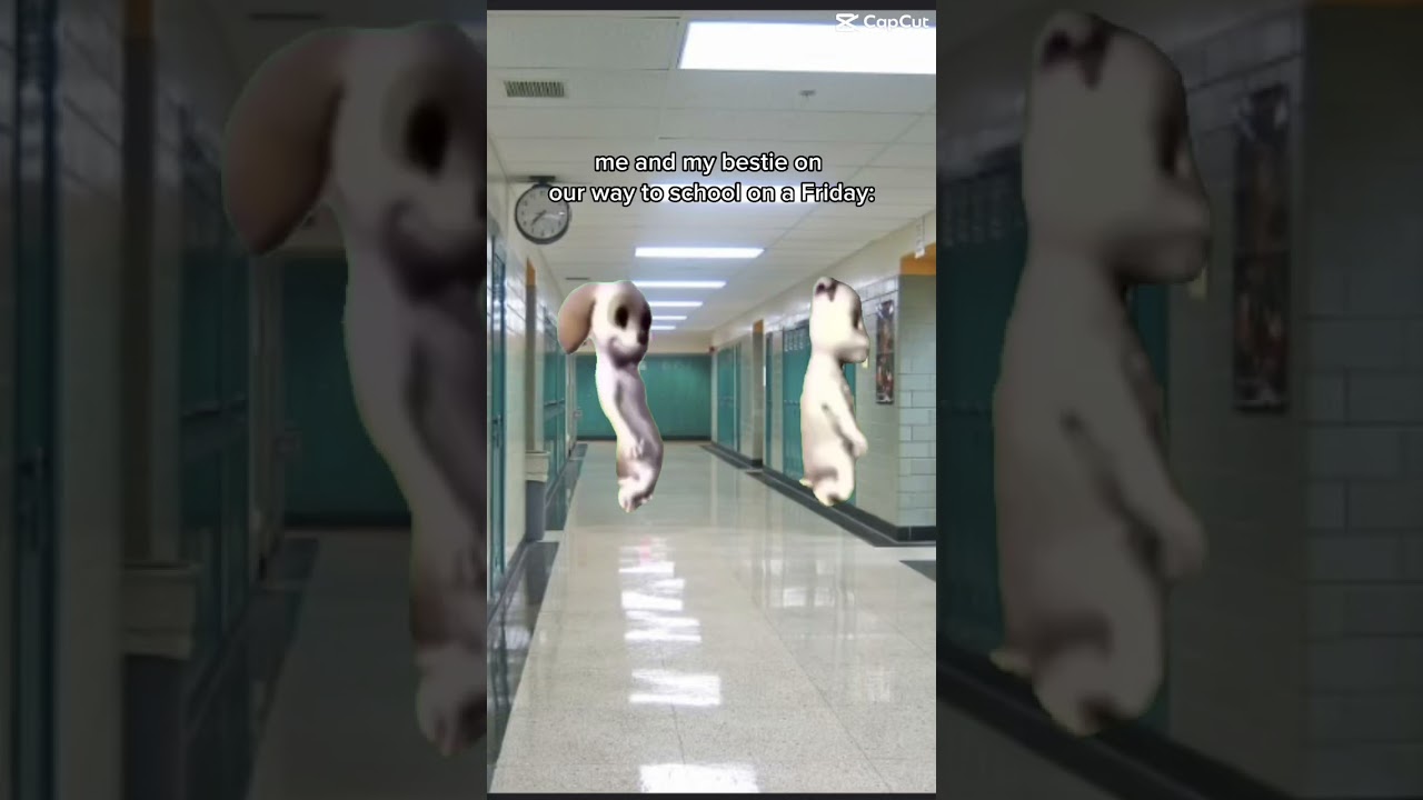 Barbie Dogs Dancing ✨😂