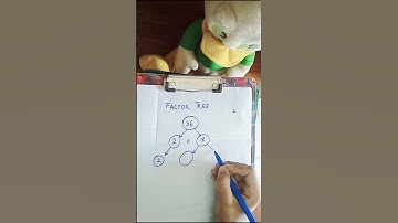 How to Draw Factor Tree of 36 / Factor Tree Method of Prime Factorization / Factors of 36