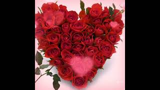 Love gif with red Roses