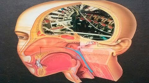 RE_P - Irrational Drives Are Unconscious (sub-d29)