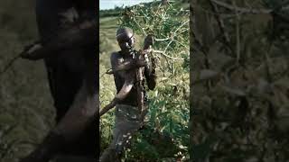 Burundi Termasuk Negara termiskin di Dunia