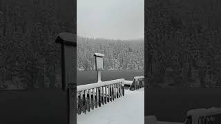 SNOW Fall main aa gaye hum …#shortvideos #shorts