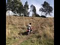 CRF50 attempting hill climb