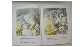 Wilmington Reads- Fireflies by Julie Brinckloe