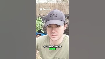 Free Coffee Grounds for Compost -  Easy Hack for Your Garden!  #composting #vermicompost