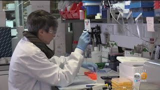 Oxford Coronavirus Vaccine Trial Results 'Extremely Encouraging,' U.K. Government Says