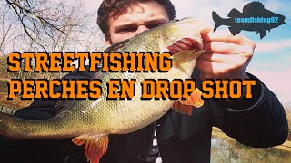 Street Fishing Grosses Perches Paris -  Drop Shot