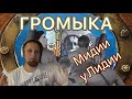 ГРОМЫКА Мидии у Лидии Реакция / Reaction