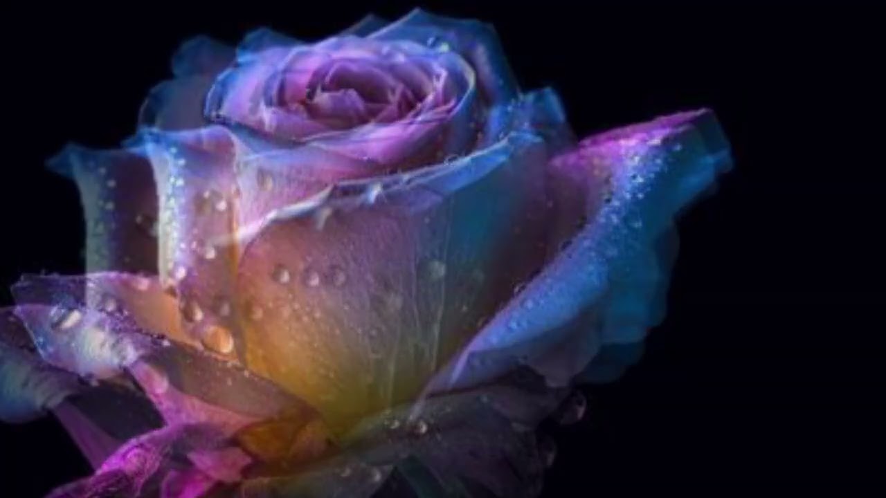 Footprints That Aren’t Mine 