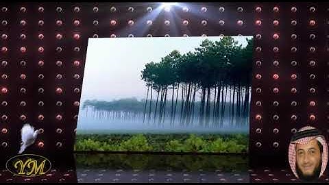 105 سورة الفيل كاملة للقارئ الشيخ هاني الرفاعي