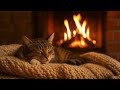 Cozy Purring Cat ASMR