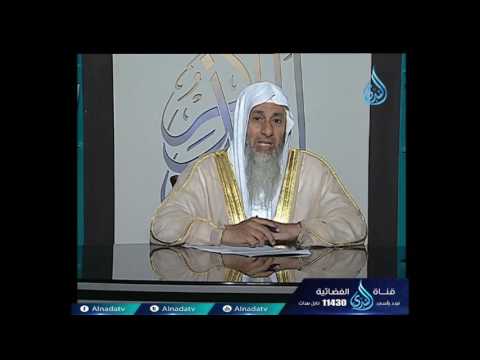 هل توجد زكاة مال علي الحيوانات الشيخ مصطفي العدوي