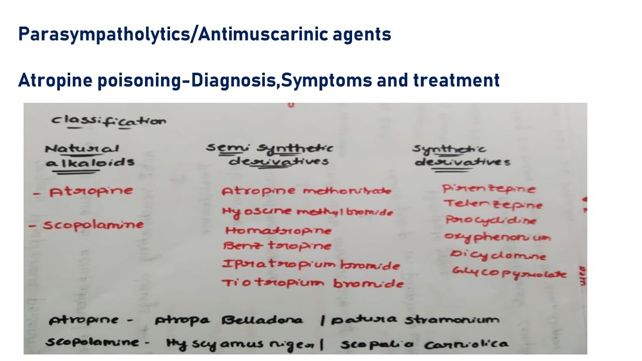 Anti Muscarinic Agents And Atropine Poisoning Youtube