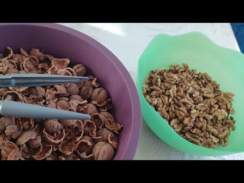 ცივა,მე ყავა ნინოს ჩაი...