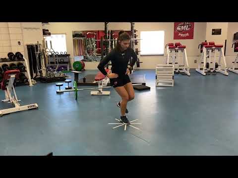 8 Vector Hops (Stick)