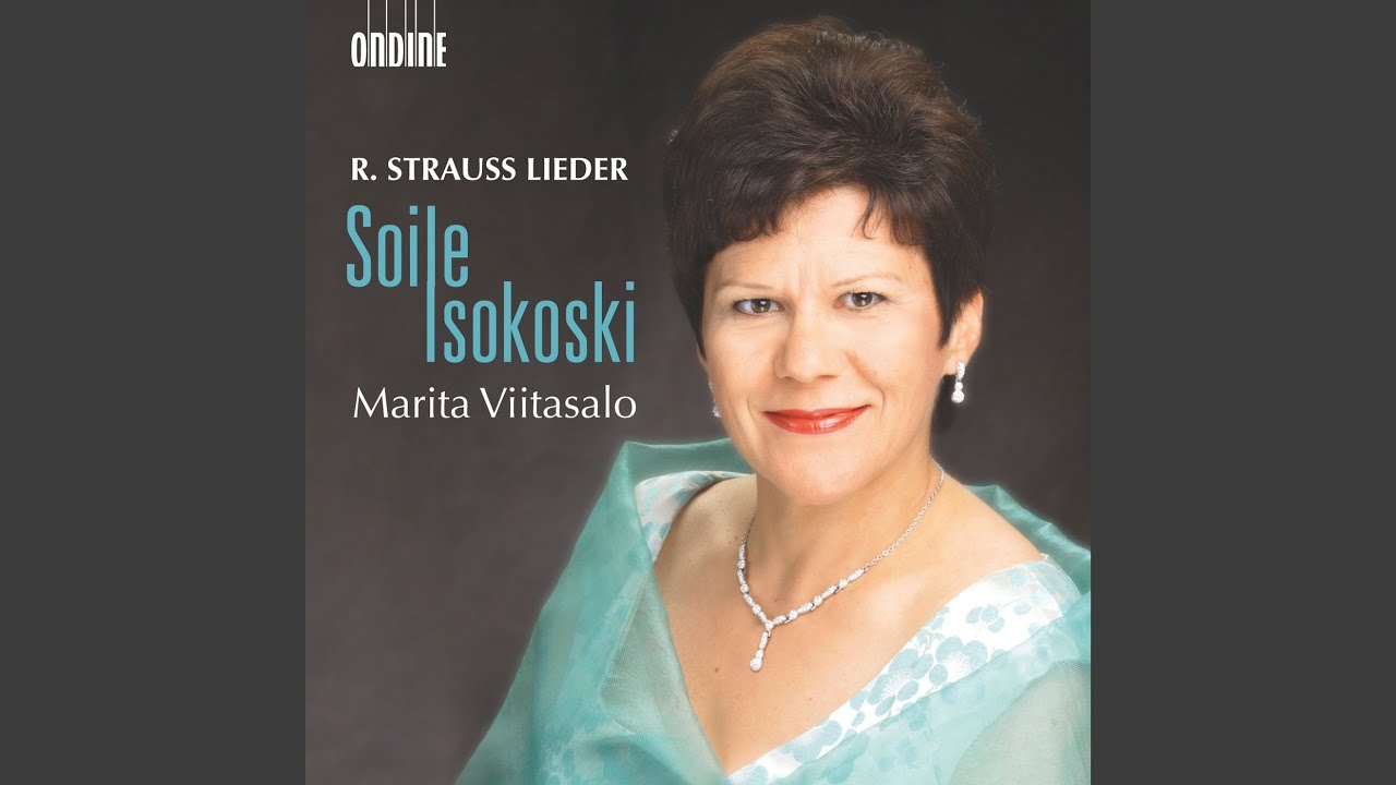 MUTTERTANDELEI visual data 4