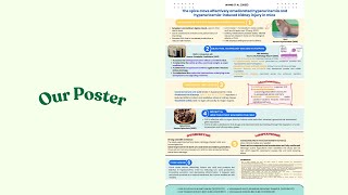The Spice Clove Effectively Ameliorated Hyperuricemia And Kidney Injury In Mice Wang Et Al., 2025