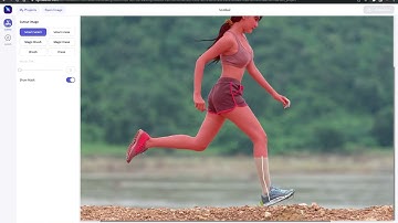 How to make a transparent Cutout from an image using LightX