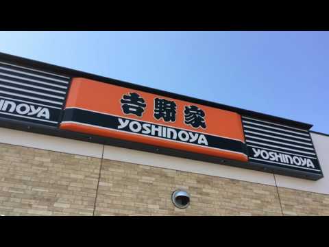 クックドア 吉野家 カインズホーム木更津店 千葉県 クックドア 吉野家 カインズホーム木更津店 千葉県