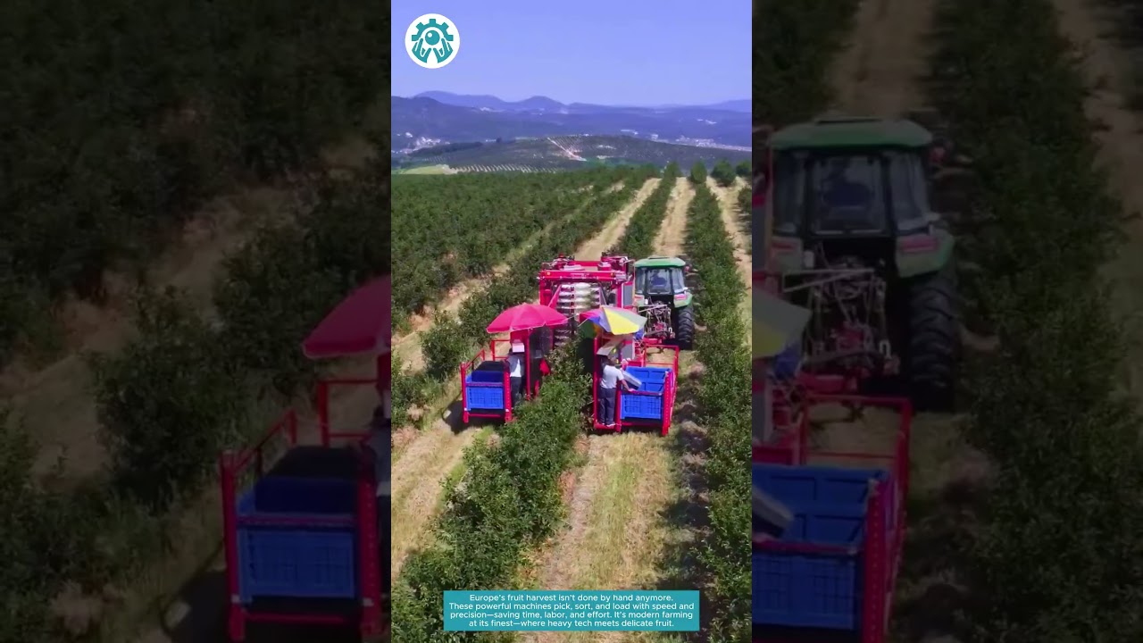 Fruit Harvest, European Power — Heavy Machines in Action 🍎🚜