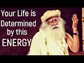 Sadhguru  nobody can shake you if you take charge of your prana