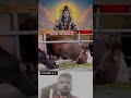 महादेव सदा रक्षा करें 🙏🙏!! #mahadev #bholenath #shiv #bhajan #bhakti #trending #explore #trend