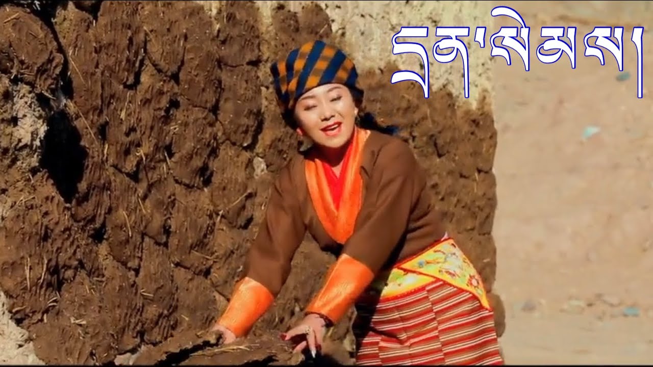 New Tibetan song/ དྲན་སེམས། 想念. by Tenzin wangmo བསྟན་འཛིན་དབང་མོ།