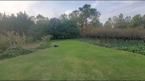 Conga: Handle the Steep Edge All by Itself