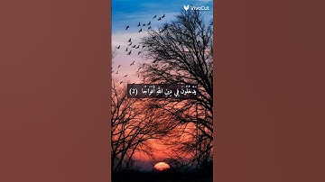 سورة النصر | اسلام صبحي