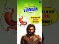 Stomach Digestion | Human Digestive System #biology #neet #infotainment #ssc #exam