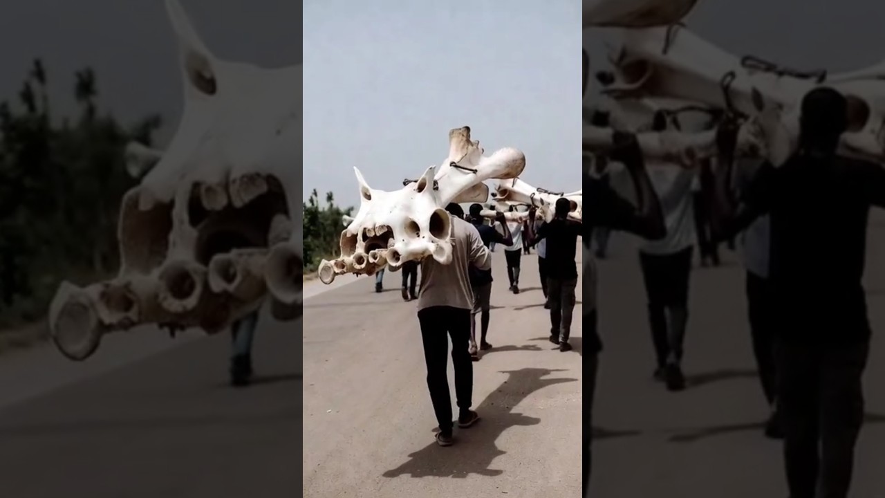 Huge Skeleton Found Beneath Farmland.